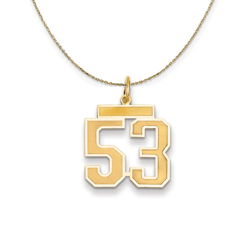 extravagant pendant necklace-14k Yellow Gold, Jersey, Med Number 53 Necklace